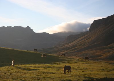 Lysuholl - Snaefellsnes - West-Island
