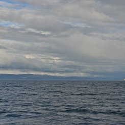 Hesteyri - Westfjorde