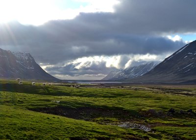 Hóll - Westfjorde