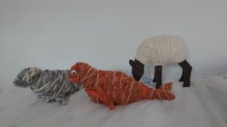 Wickeltiere - Wolltiere