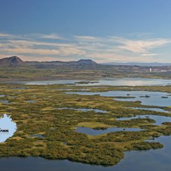 Mückensee - Mývatn-Region
