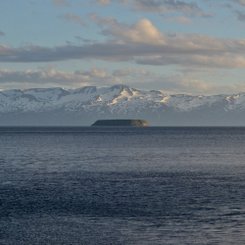 Lundey - Nord-Island