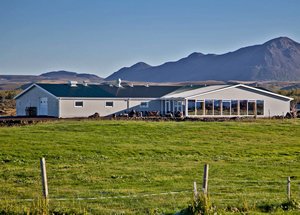 Gästehaus Vogafjós - Mývatn-Region