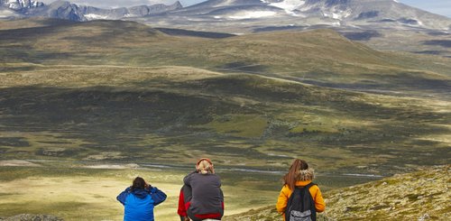 Drei Wanderer im Dovrefjell Nationalpark in Norwegen