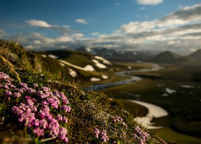 Landmannahellir - Zentrales-Hochland