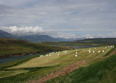 Fnjoskadalur - Nord-Island
