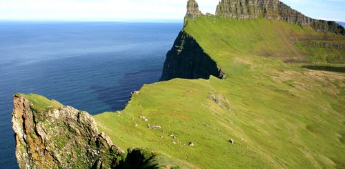 Hornstrandir - Westfjords