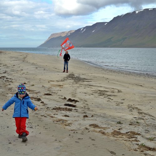 Holt - Westfjorde