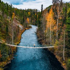 Auf einer Hängebrücke in der Natur. 