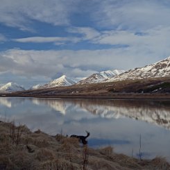 Akureyri - Nord-Island