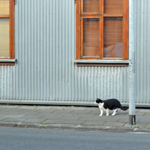 Reykjavik - Island