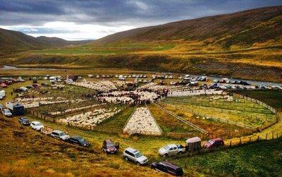 Skagafjörður - Nord-Island