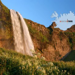 Seljalandsfoss - Süd-Island