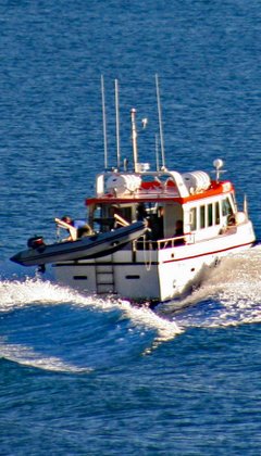 Fähren für außergewöhnliche Islandreisen - Fährboot auf dem Weg nach Hornstrandir