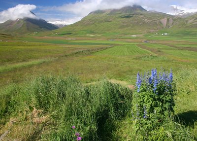 Trollaskagi - Nord-Island