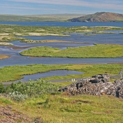Þingvellir - Südwest-Island