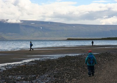 Hornstrandir - Westfjords