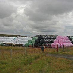 Heuballen - Nord-Island