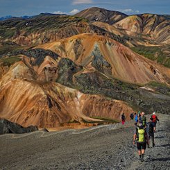 Wandergruppe in Landmannalaugar