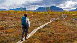 Wandern in Schwedisch Lappland