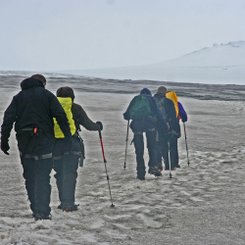 Schneefeld - Süd-Island