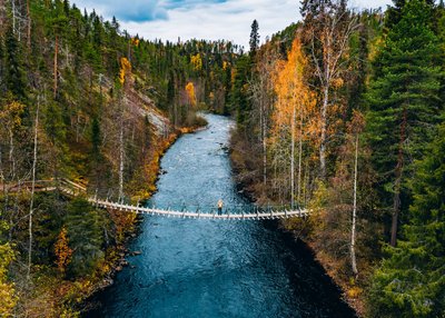 Auf einer Hängebrücke in der Natur. 