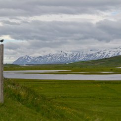 Husabakki - Nord-Island