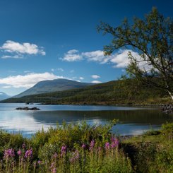 Seenlandschaft im Abisko-Nationalpark