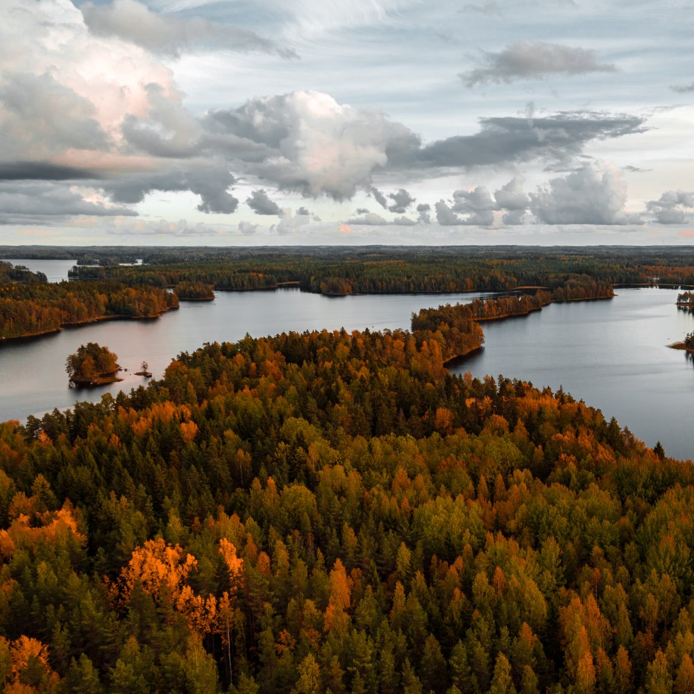 Luftaufnahme auf Wälder und Seen im Nationalpark Liesjärvi im Herbst bei Sonnenuntergang