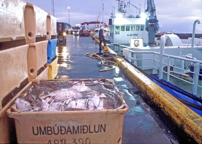Hafen von Reykjavík