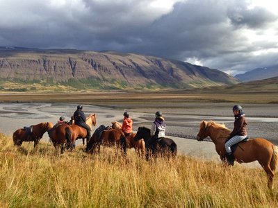 Skagafjörður - Nord-Island