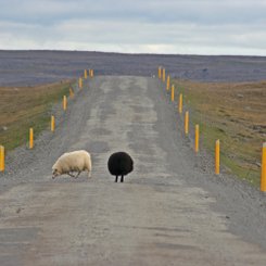Jökuldalsheiði - Ost-Island