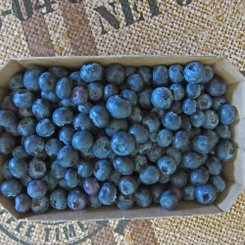 Blaubeeren