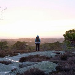 In der Abendsonne steht eine Person mit Rucksack auf einer Anhöhe im Hvaler Nationalpark und schaut in die Ferne