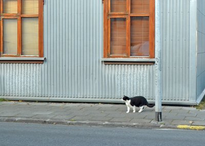 Reykjavik - Island