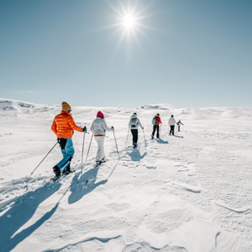 Wandergruppe auf Schneeschuhen in Winterlandschaft