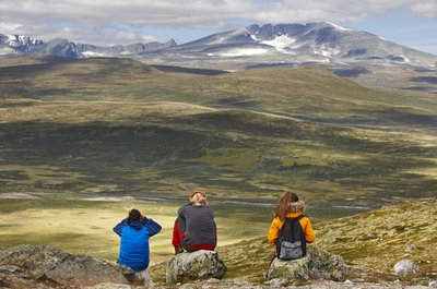Drei Wanderer im Dovrefjell Nationalpark in Norwegen