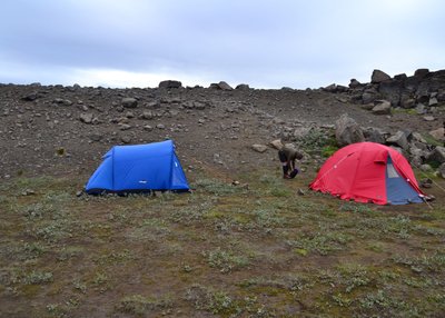 Karger Zeltplatz am Dettifoss