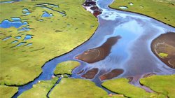 Hornvík - Westfjorde