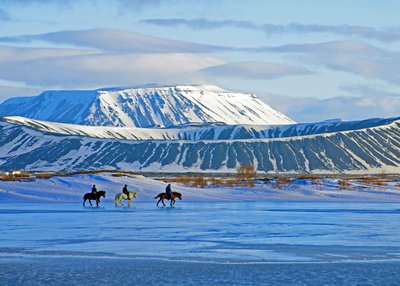 Drei Reiter auf jeweils einem schwaryen, weißen und braunen Islandpferd reiten über den zugefrorenen Myvatn-See. Im Hintergrund sieht man den Krater Hverfjall
