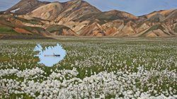 Námskvisl - Süd-Island