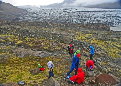 Skálafellsjökull - Südost-Island