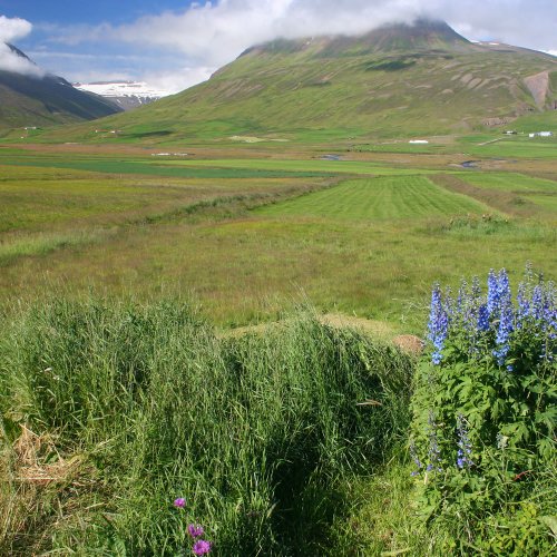 Tröllaskagi - Nord-Island