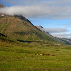 Tröllaskagi - Nord-Island
