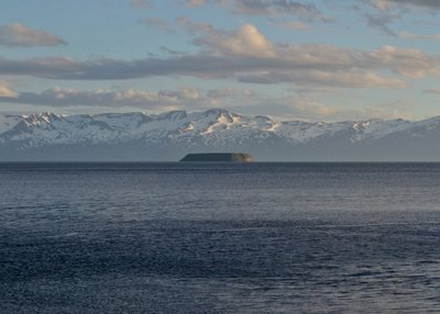 Lundey - Nord-Island