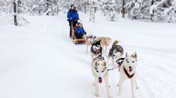Hundeschlitten mit 6 Huskies in verschneiter Landschaft