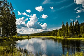 Schwedische Landschaft mit See und Wald und blauem Himmel