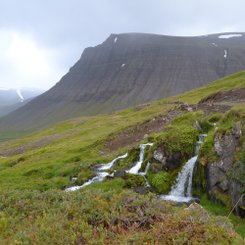 Galtardalur - Westfjorde