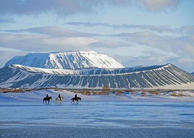Winterausritt - Mývatn-Region