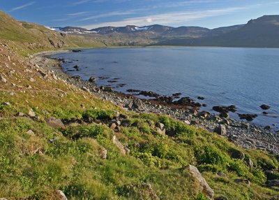Hornvík - Westfjorde
